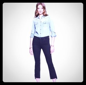 INSIDER CROP STEP FRAY NOT GUILTY